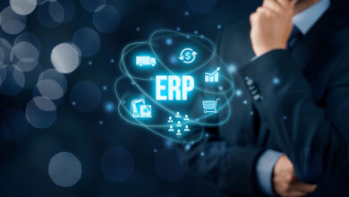 Introduction to ERP Software Development Services