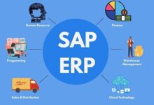 sap and erp software