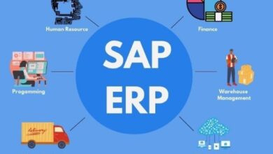 sap and erp software